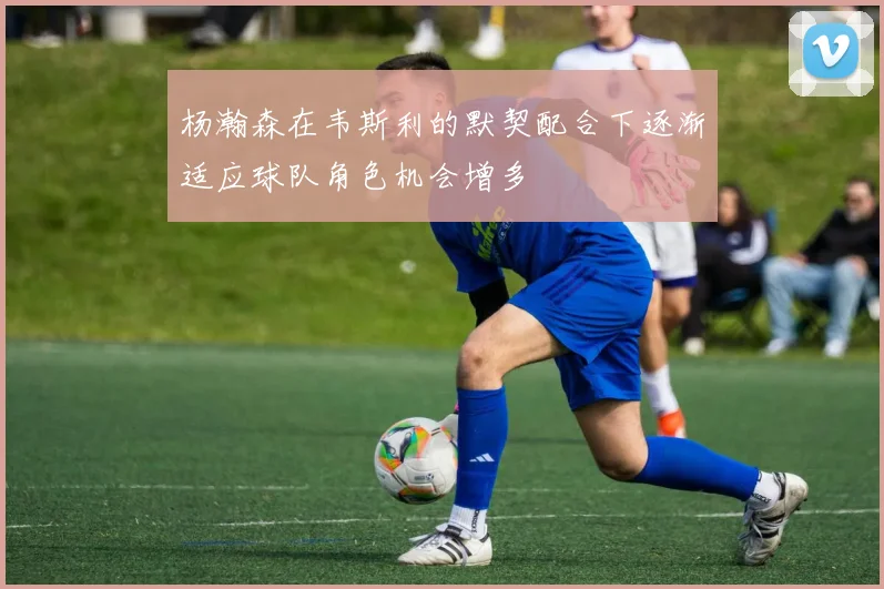 杨瀚森在韦斯利的默契配合下逐渐适应球队角色机会增多